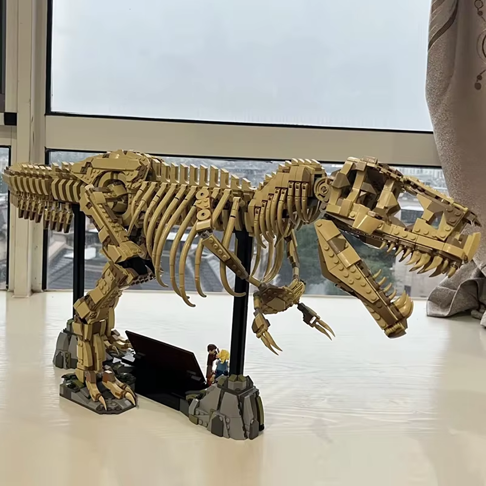Tyrannosaurus Rex Fossil Brick Building Set
